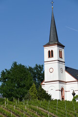 Fototapeta na wymiar Pfarrkirche mit Weinbergen - Hochformat in Minheim an der Mosel