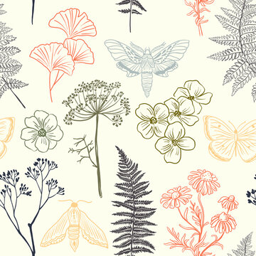 Moths, butterfly and grass seamless pattern. Hand-painted texture with Botanical elements: plants, flowers, grass, berries, fern, leaves. Natural repeating background