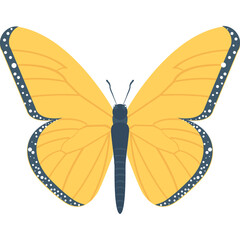 Butterfly Flat Vector Icon