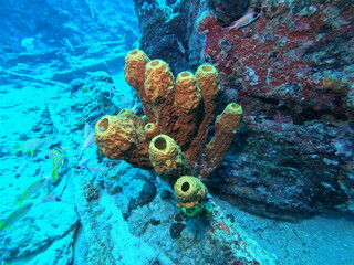 Naufrágio Pirapama - Recife - Pernambuco - Brasil