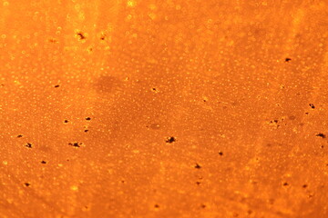 Obraz premium The glass is illuminated by the sun at sunset