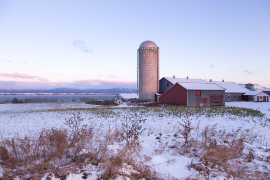Winter rural landscape with large farm buildings seen in the Bellechasse county during a a blue hour morning, Saint-Vallier, Quebec, Canada