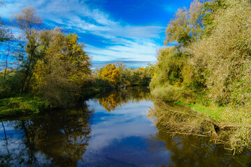 leuchtender Herbsttag im Naturschutzgebiet Eriskircher Ried am Bodensee; (Schussenmündung)