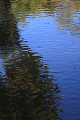 
Reflection of the sky in the water