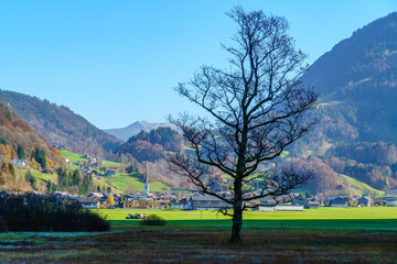 leuchtende, farbige Herbststimmung im Naturschutzgebiet Bizauer Moos entland des Ulfernbach...