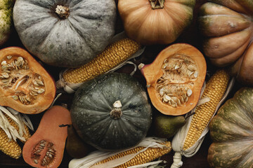 Toned autumn background of pumpkins and corn