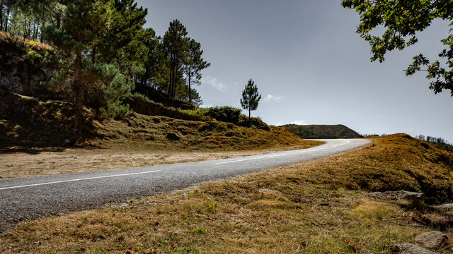 Sloping Road With Left Turn In The Field