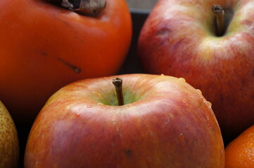 close up of red apples & fruit with water droplets 