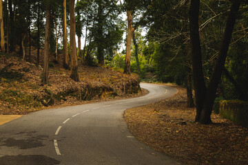 broad road in Portugal 