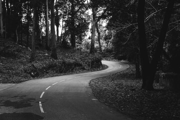 Fototapeta premium broad road in Portugal black and white