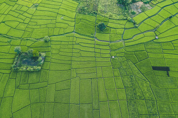 Aerial view of Pai rice terraces, river and mountain in Mae Hong Son, Chiang Mai, thailand