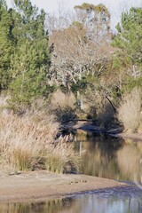petit ruisseau d'eau de mer - lanton - gironde