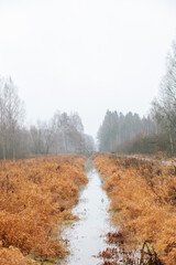 Autumn Landscape. Fall. Yellow gras with small river between. Russian Landscape