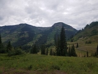Fototapeta premium colorado