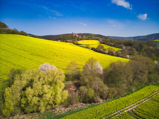 Fototapeta premium Burg Ludwigstein bei Witzenhausen im Werratal mit Rapsblüte im Frühling