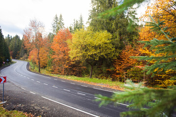 Beautiful fall trees and asphalt road wave,