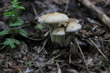 Свердловск и область 