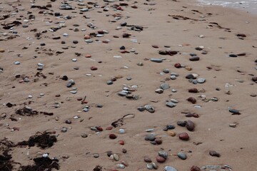 Lot of pebbles on the seashore on a gloomy cold autumn day