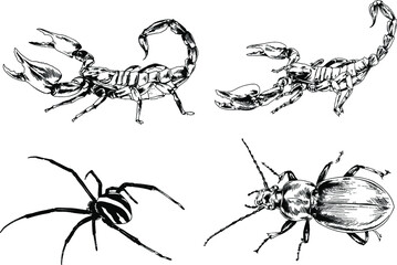 Plakat vector drawings sketches different insects bugs Scorpions spiders drawn in ink by hand , objects with no background