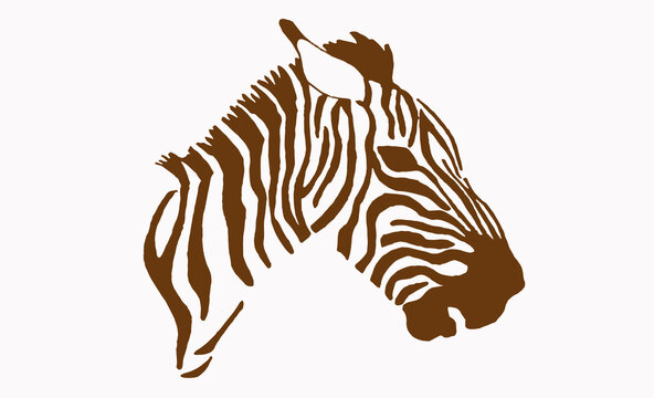 Vector vintage portrait of zebra,sepia background,  illustration