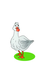 goose on the grass vector illustration