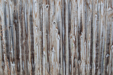 Obraz premium The Fences They Surround Us