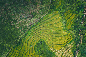 Aerial view of Nang Lae Nai Rice Terraces in Chiang Rai, Chiang Mai province, Thailand
