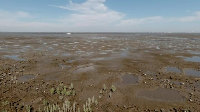 a view of the Wadden Sea in Germany