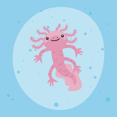 axolotl salamander cute on blue hite background