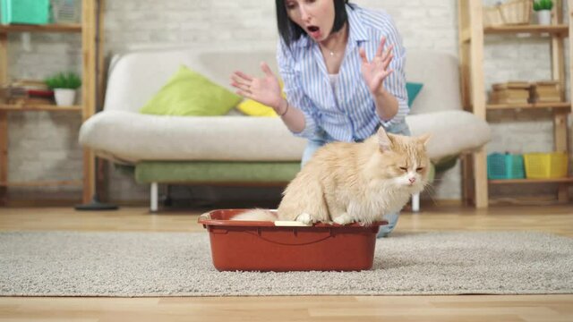 young woman is glad that the red cat urinated in the tray