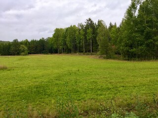 Nice nature a gray day during a Swedish summer at the countryside. Plenty of green trees in the forest and only gray clouds in the sky. Roslagen, Stockholm, Sweden.