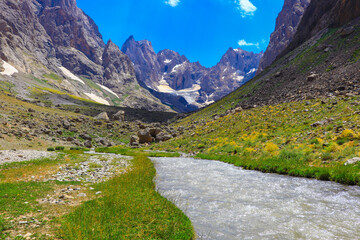A stream flowing in the mountains and high mountains, landscape, meadows, green nature, sunny day