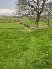 Brede Valley a stretch of Sussex countryside near Rye, and Winchelsea. Where Romney and Walland marshland extends past Winchelsea between two ridges of weald. East Sussex UK