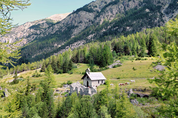 Fototapeta na wymiar Petite chapelle entourée de chevaux dans une vallée des Alpes françaises.
