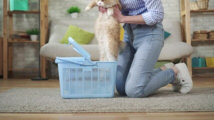 young woman tries to put a cat in a carrier