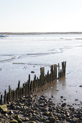 Lanton bassin d'arcachon &agrave; mar&eacute;e basse