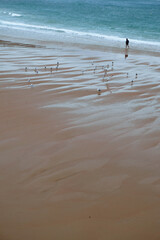 Fototapeta na wymiar Man walking alone on the beach near a flock of gulls