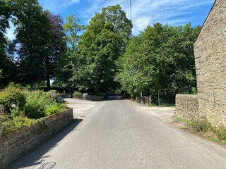 View down, Carla Beck Lane, with a garden and old trees in, Carelton, Skipton, UK