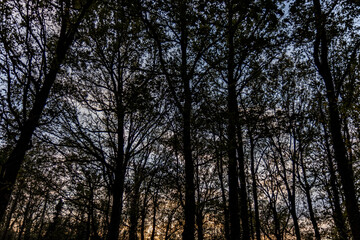 Obraz premium Paisajes de otoño Oiartzun