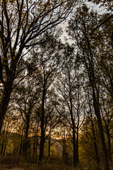 Paisajes de otoño Oiartzun