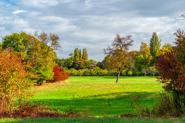 Mannheim, Germany. October 4th, 2009. Autumn landscape in the nature reserve 