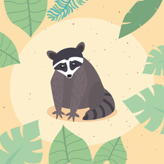 cute raccoon animal with frame of tropical leaves