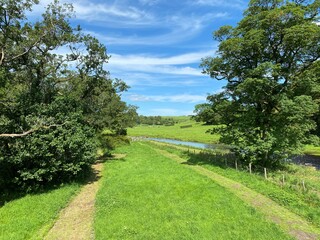 View of the River Ribble, with grassy banks, footpaths, and old trees in, Paythorne, Clitheroe, UK