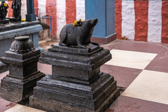 Kadirampura, Karnataka, India - November 4, 2013: Sri Murugan Temple. Closeup of black statue of devote rat in front of Ganesha shrine. Red and white wall behind.