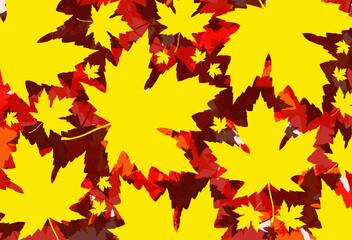 an illustrative background texture of some maple leaves layered over each other showing off those autumn colours and feel