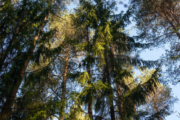 Мне понравилась фотография, потому что она подходит именно для вас 