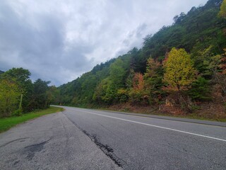 Georgia and South Carolina