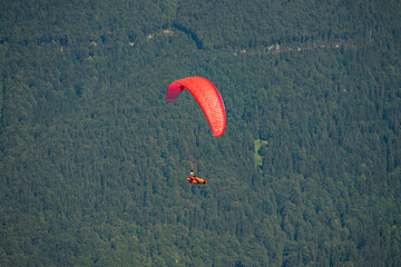 paragliding high over a forest