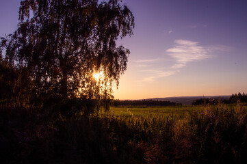 Fototapeta premium Sunset in Czech nature, Europe, colorful meadow, the sun through the tree 