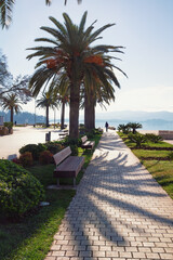 Beautiful Mediterranean landscape. Montenegro. Embankment of Tivat city on sunny autumn day